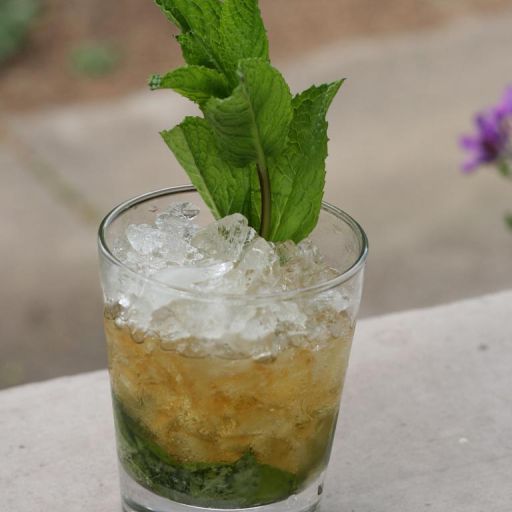 Photo: Mint Julep