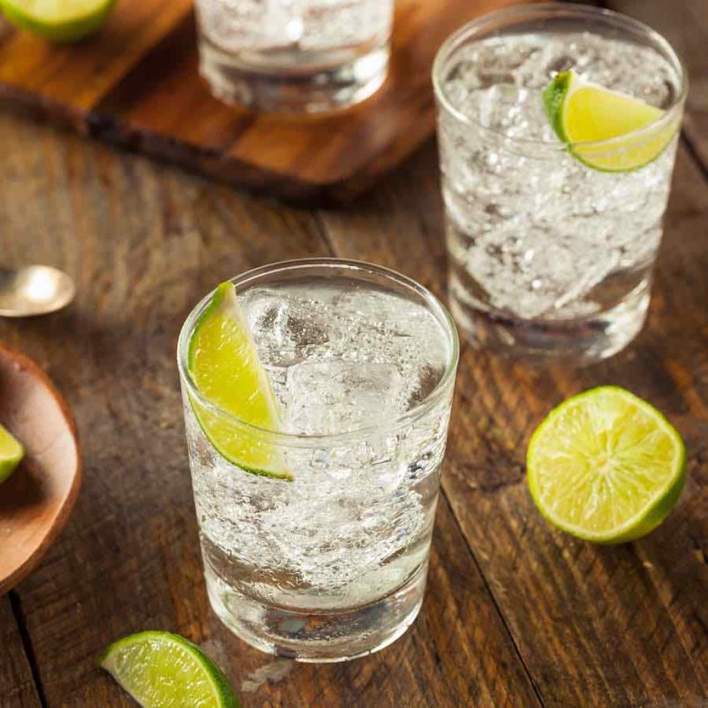 Gin And Tonic Recipe Bevvy Gin And Tonic Recipe Bevvy