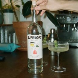 Image for Supergay Spirits