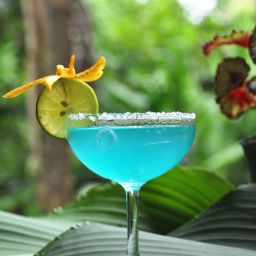 Blue Margarita